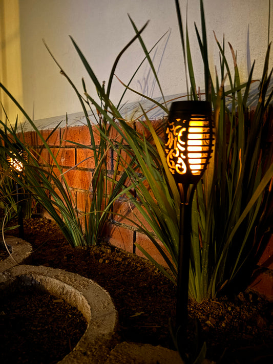 Garden or outdoor solar lights - 2 for 195